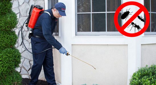 Kızıltepe Bit İlaçlama böcek ilaçlama ve haşere kontrolü — ilaclama-tr.com